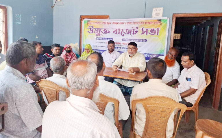 বিভিন্ন ইউনিয়ন পরিষদের বাজেট ঘোষণা