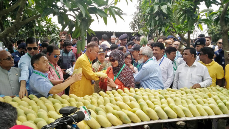 শিগগিরই বিদেশে আম রপ্তানি বাড়ার আশা : কৃষিমন্ত্রীর নেতৃত্বে নাচোলে আমবাগান পরিদর্শনে বিদেশী রাষ্ট্রদূতরা