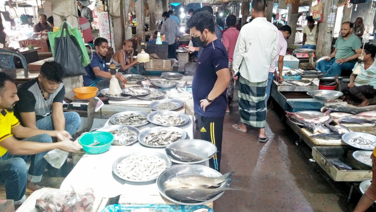শসা ১৩০, মাছের দামও বাড়তি ঝাঁঝ বেড়েছে কাঁচামরিচেরও