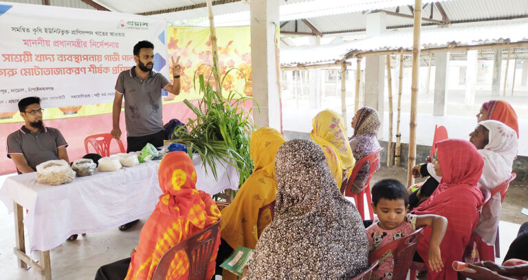 নাচোলে ব্যয় সাশ্রয়ী গোখাদ্য তৈরির প্রশিক্ষণ