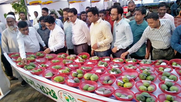 ২২৭ জাতের আম নিয়ে আম মেলা