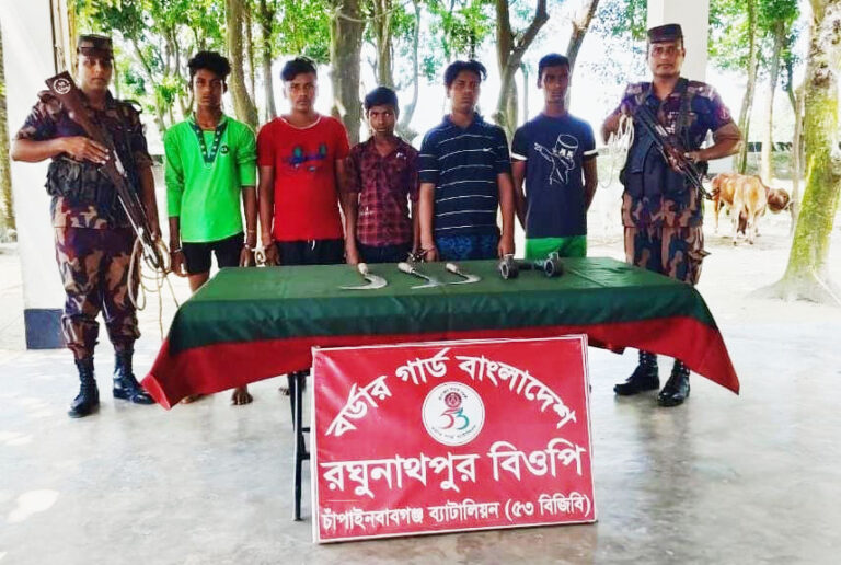 শিবগঞ্জে বিজিবির অভিযানে ৫ ভারতীয় গরু চোরাকারবারি আটক