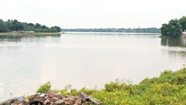 কমতে শুরু করেছে পদ্মা মহানন্দা ও পুনর্ভবার পানি