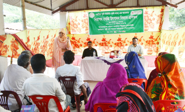 নাচোলে নিরাপদ সবজি উৎপাদন বিষয়ে প্রশিক্ষণ