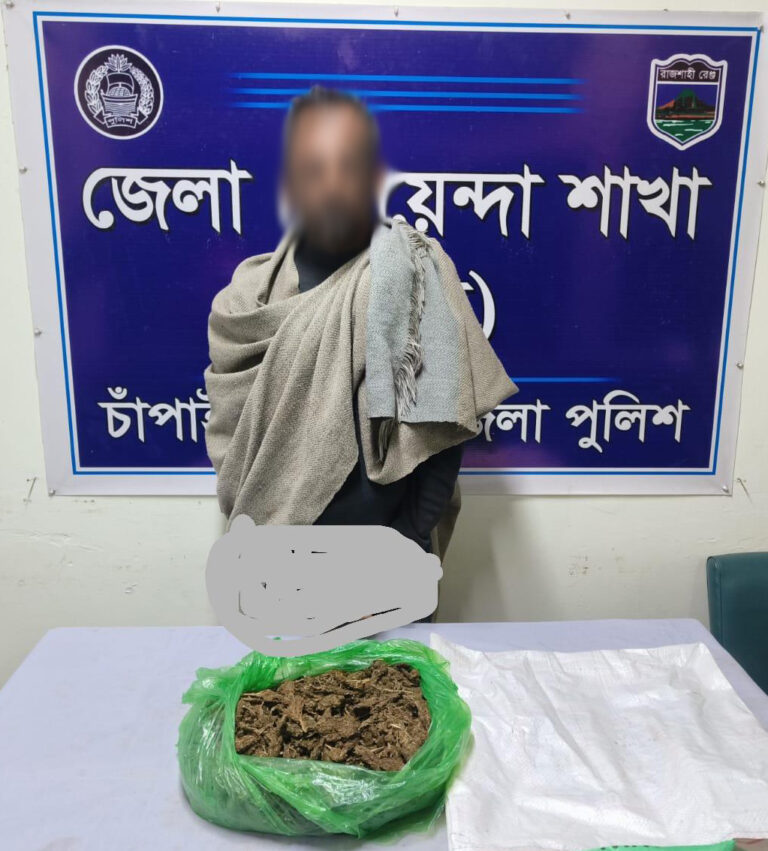 শিবগঞ্জে গাঁজা জব্দ, গ্রেপ্তার একজন