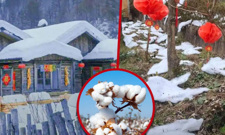 কৃত্রিম তুষারময় প্রাকৃতিক দৃশ্য তৈরি করে ক্ষমা চাইলো চীনা গ্রাম