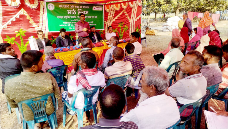 আমারকে শসা চাষ বিষয়ক মাঠ দিবস