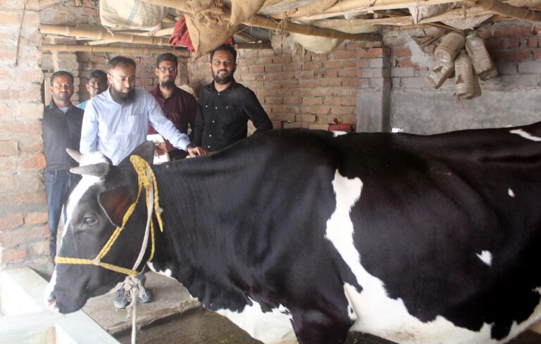ডেইরি প্রকল্পের মাঠ পর্যায়ের কার্যক্রম পরিদর্শনে পিকেএসএফের উপ-ব্যবস্থাপক