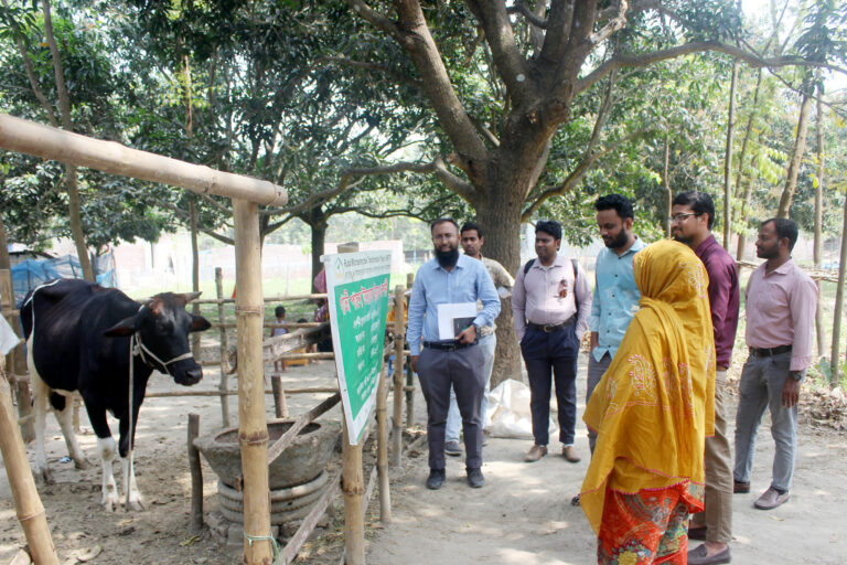 আরএমটিপি ডেইরি প্রকল্প : মাঠপর্যায়ের কার্যক্রম পরিদর্শনে পিকেএসএফের উপব্যবস্থাপক