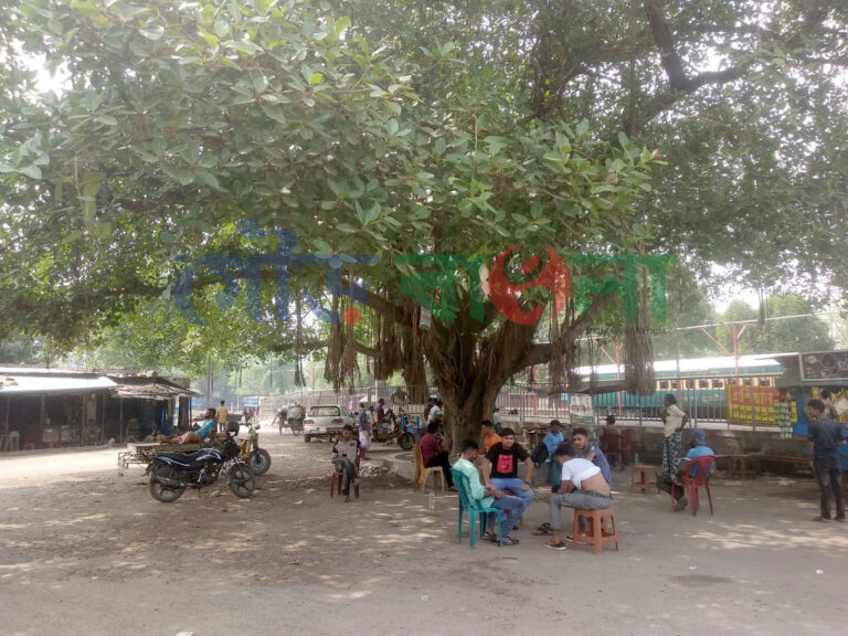 প্রচণ্ড তাপদাহে প্রাণিকুলে হাঁসফাঁস