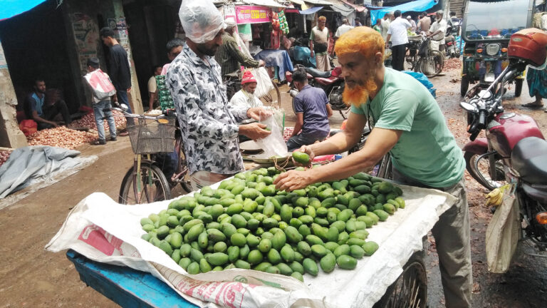 ঝরে পড়া আমের কেজি ২০ টাকা