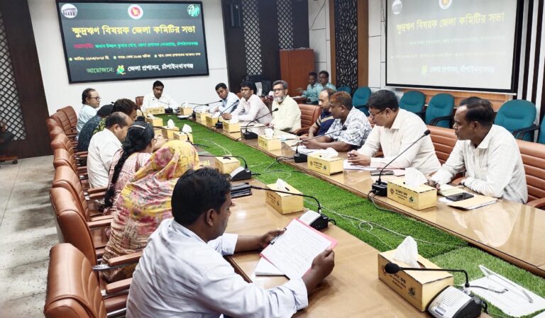 এনজিও ও ক্ষুদ্রঋণ কার্যক্রম বিষয়ে জেলা কমিটির সভা