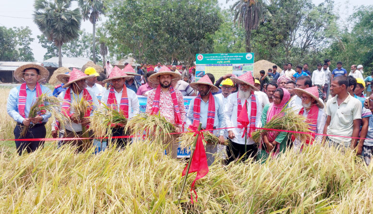 গোমস্তাপুরে যন্ত্রের মাধ্যমে সমলয় বোরো ধান কাটা-মাড়াই শুরু : উদ্বোধন করলেন জেলা প্রশাসক