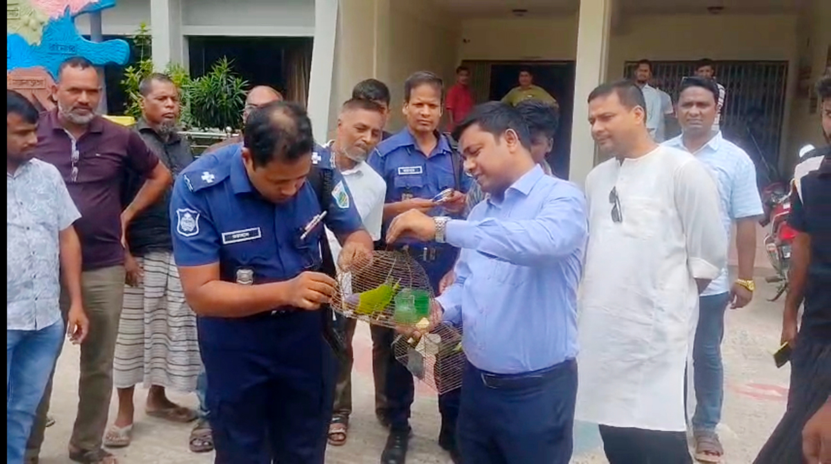 শিবগঞ্জে পাখি শিকারের  দায়ে জরিমানা : অবমুক্ত টিয়াপাখি