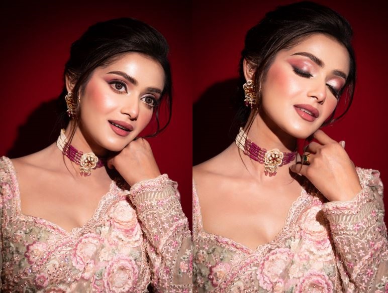 গোলাপি শাড়িতে নজর কাড়লেন তিশা