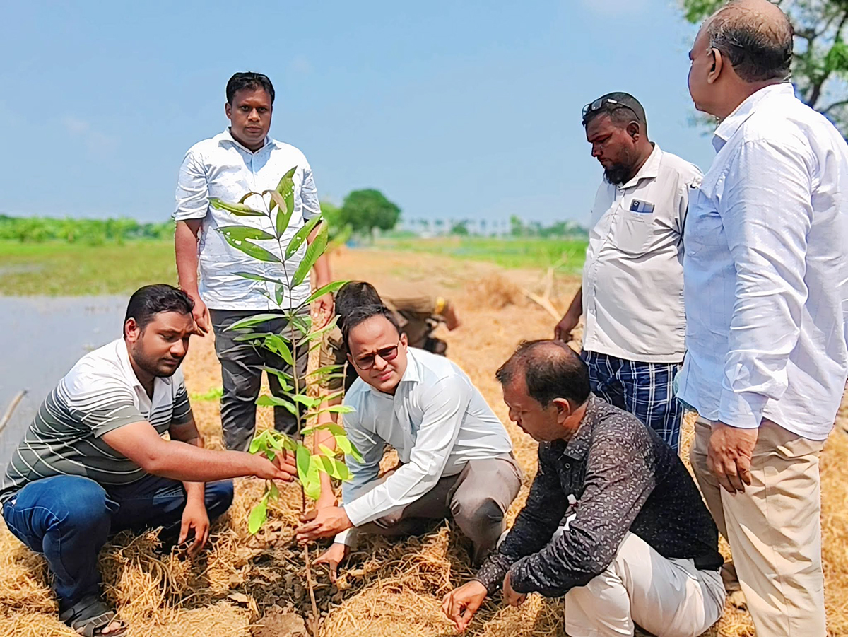রহনপুর পৌর এলাকায়  ৭০০টি বৃক্ষ রোপণ