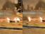 Related News
