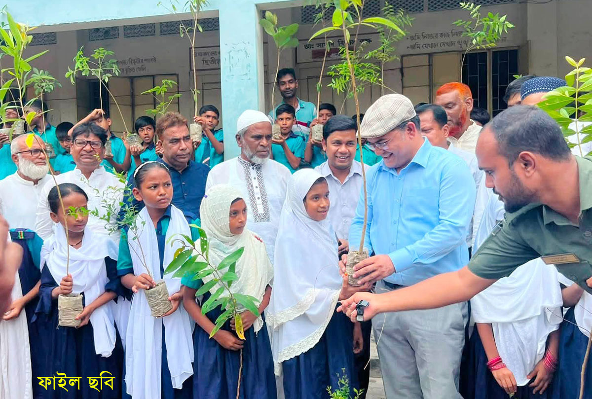 চাঁপাইনবাবগঞ্জে বৃক্ষরোপণ চলছে